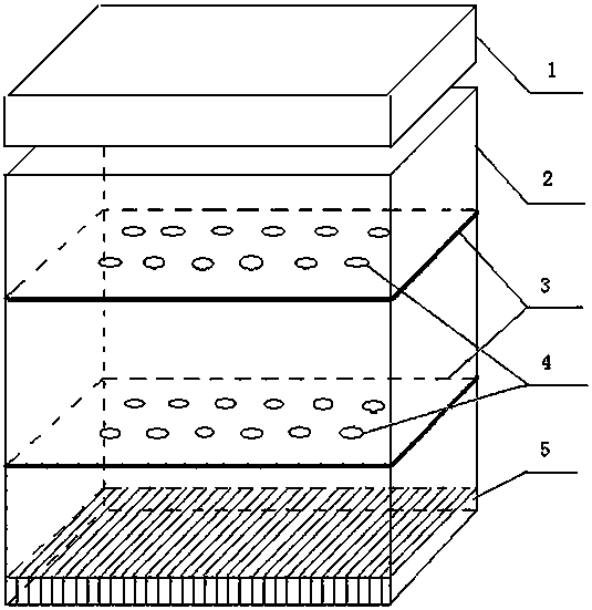 Dental bur storage box