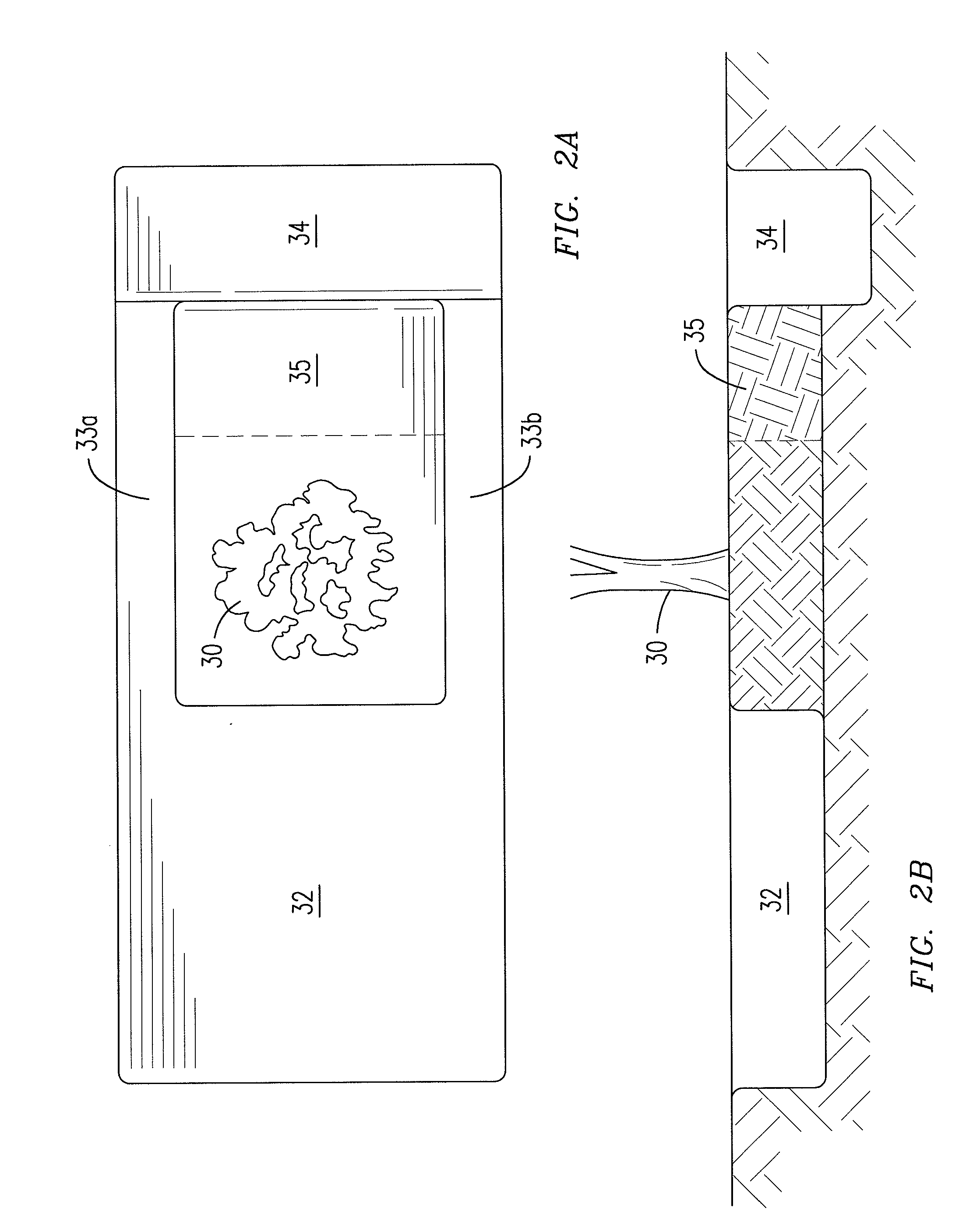 Method And System For Transplanting Large Trees