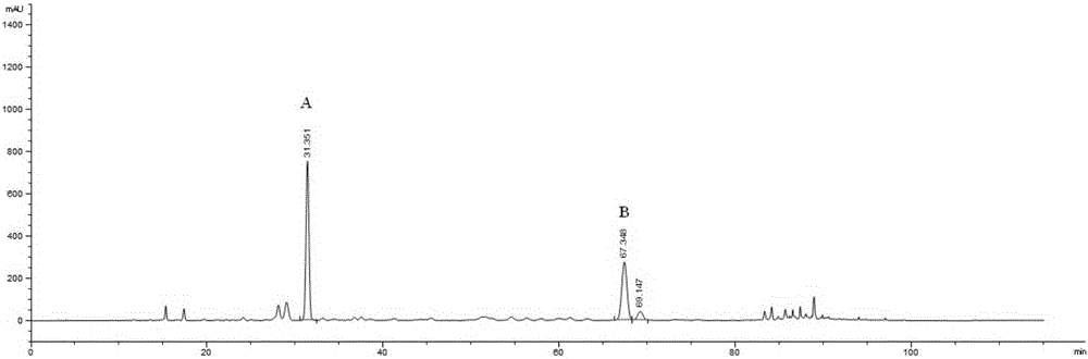 Spina date seed reference extract and preparation method and application thereof