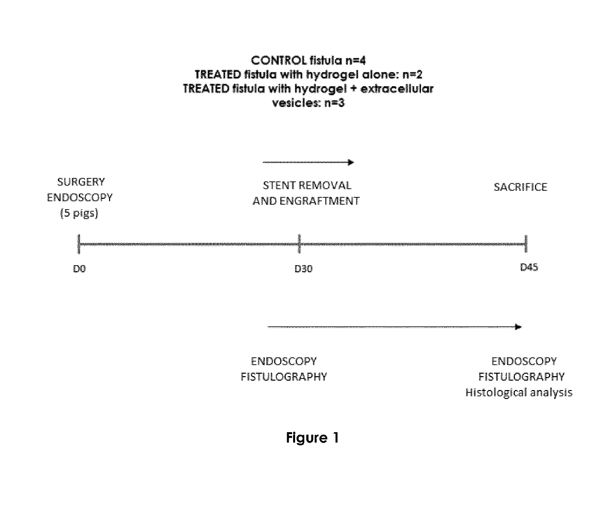 Compositions useful for mucosal healing