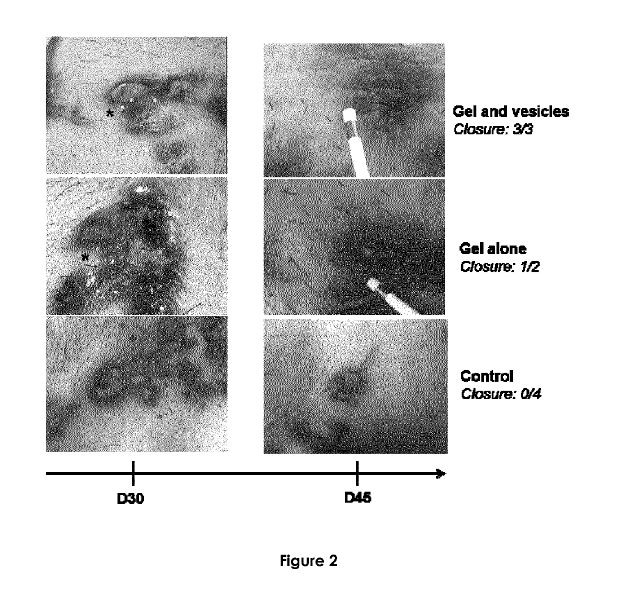 Compositions useful for mucosal healing