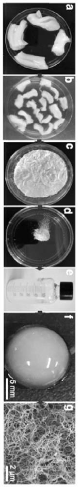 Acellular matrix hydrogel as well as preparation method and application thereof