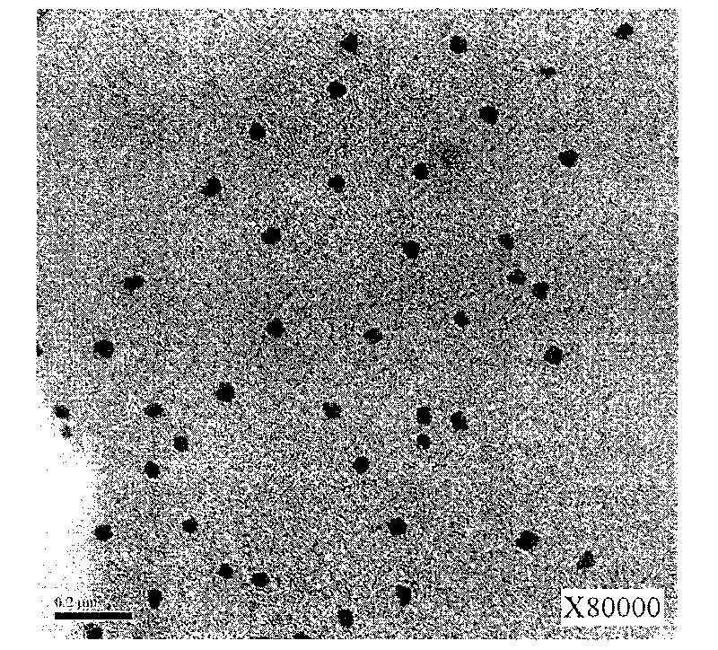 Propolis-astragalus polysaccharides compound nanometer emulsion adjuvant and preparation method and application thereof