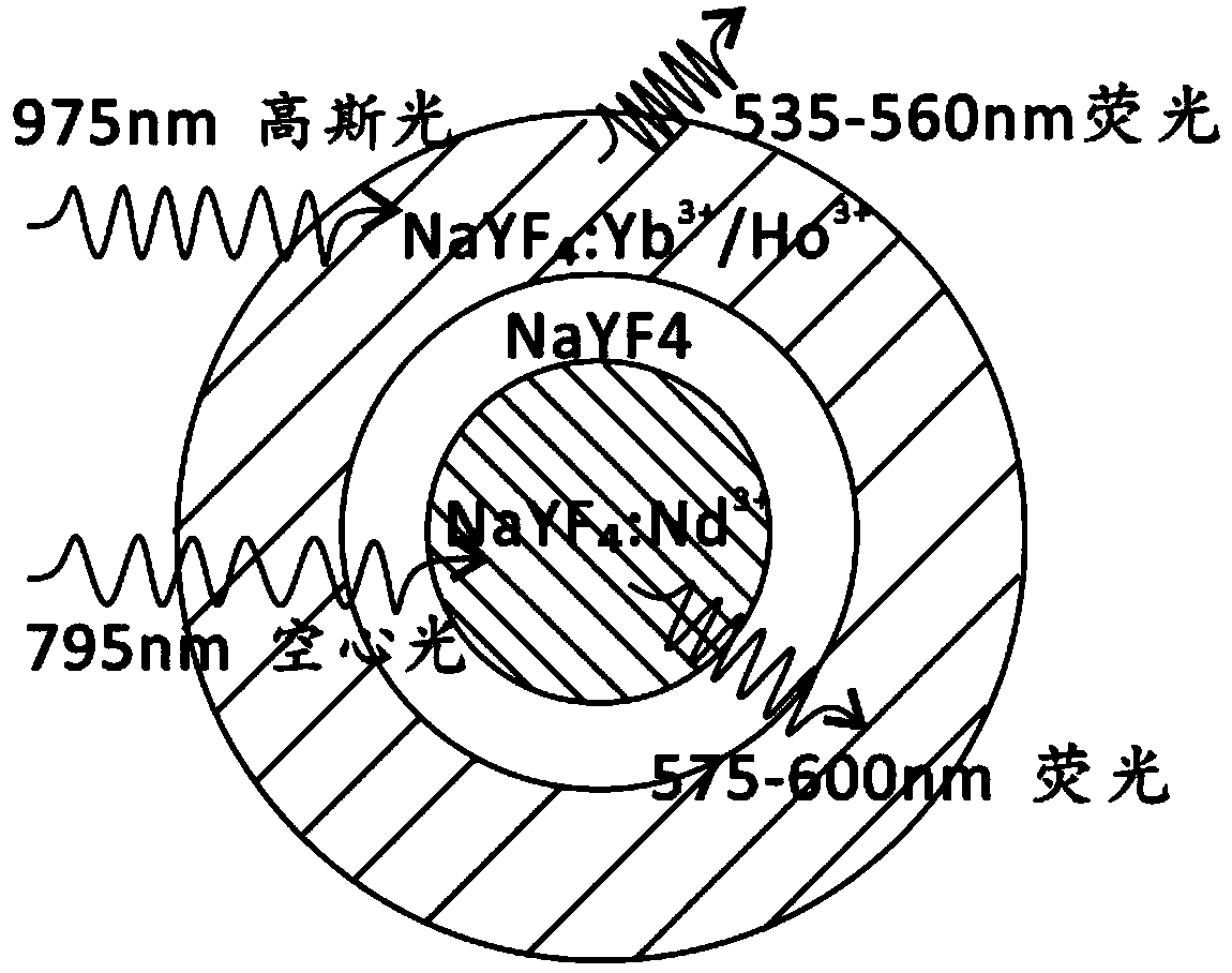 Fluorescence imaging method, real-time differential super-resolution microscopic imaging method and device