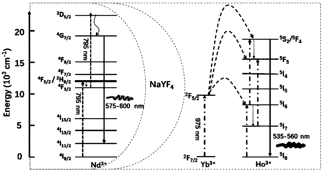 Fluorescence imaging method, real-time differential super-resolution microscopic imaging method and device