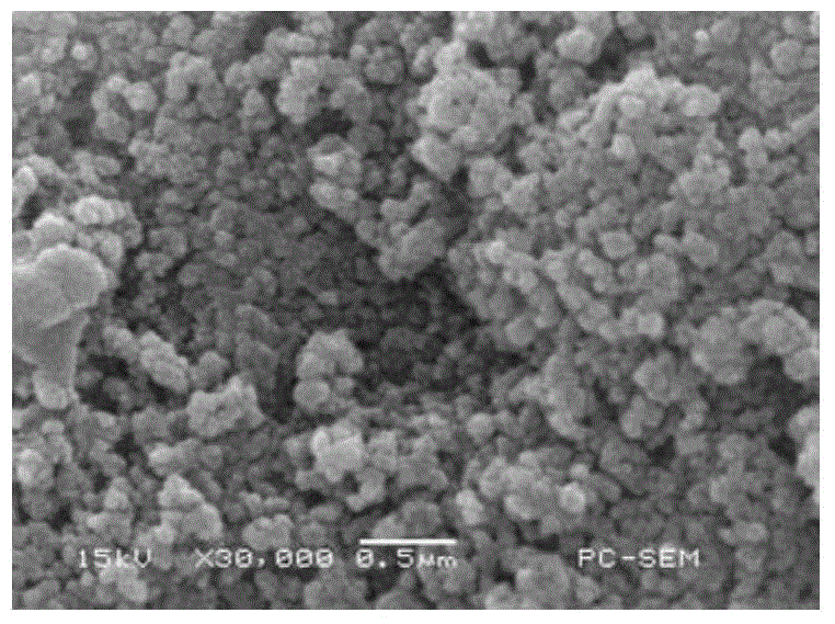 Superhydrophobic coating and preparation method thereof