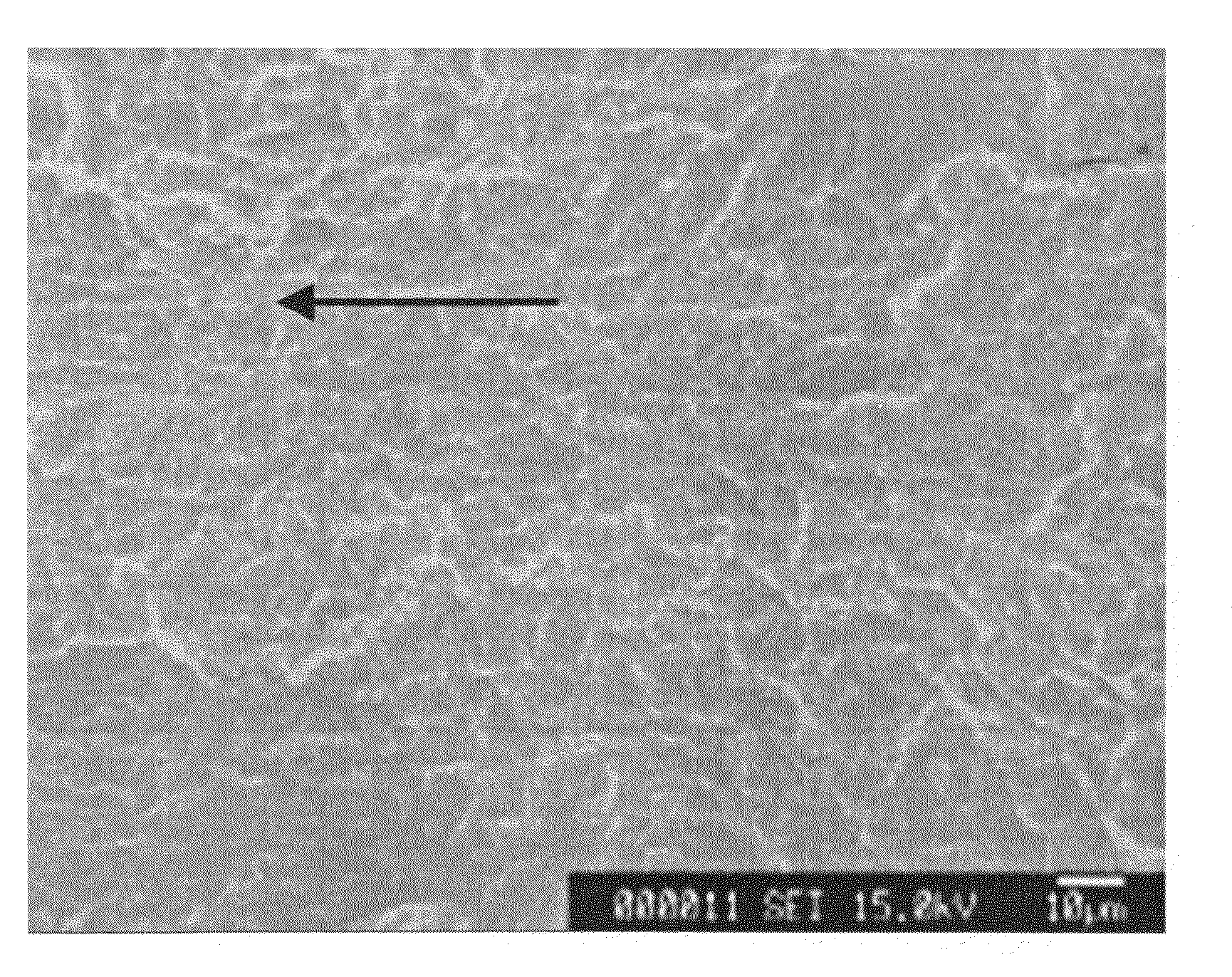 Process for Producing Metallic Component and Structural Member