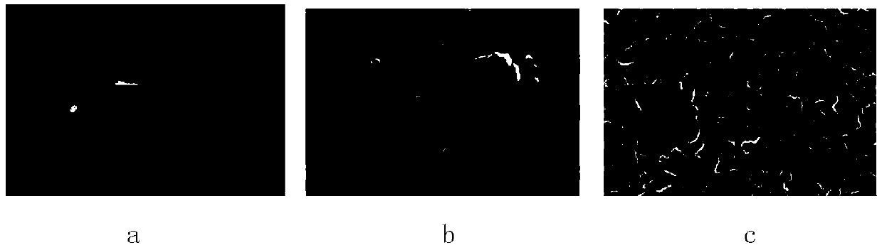 Vertical graphene-copper foil composite current collector based on in-situ growth and preparation method thereof