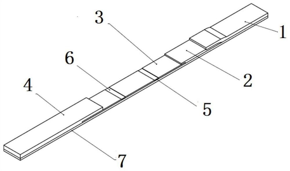 A kind of test strip and method for detecting urine aβ amyloid