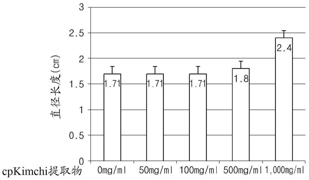 Kimchi for preventing or treating helicobacter pylori-associated diseases