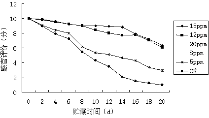 Process and device for pretreating fresh-care cold fresh pork by combination of ozone water and alcohol