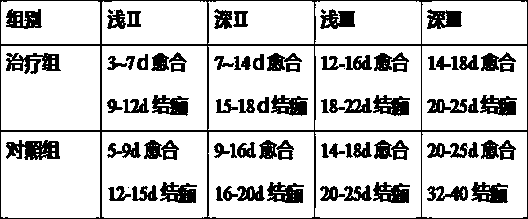 Burn ointment and preparation method thereof