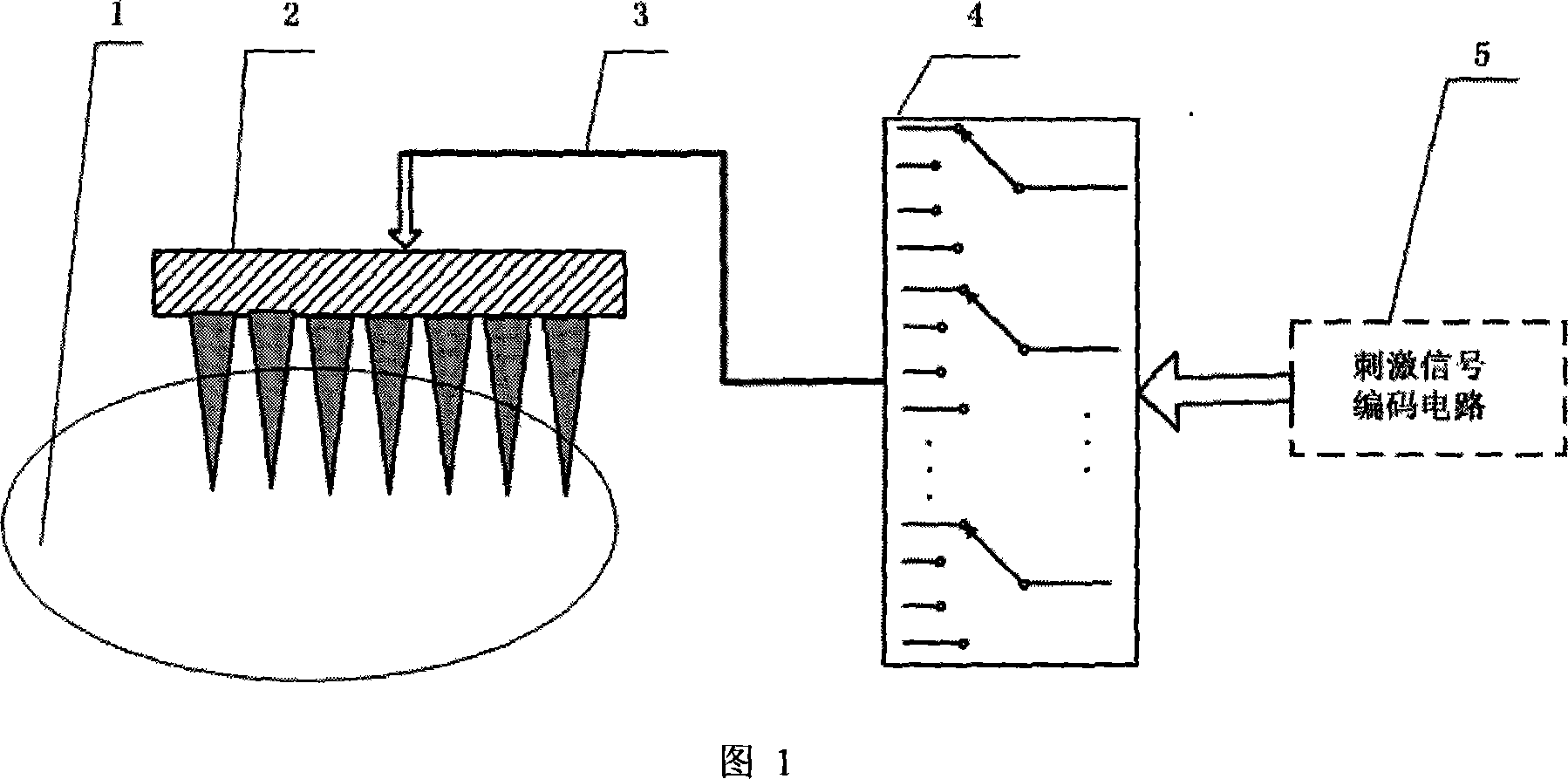 Visual cortex nerve stimulating device and stimulating method