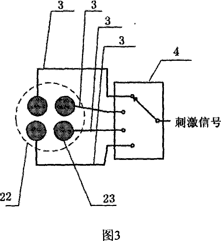 Visual cortex nerve stimulating device and stimulating method