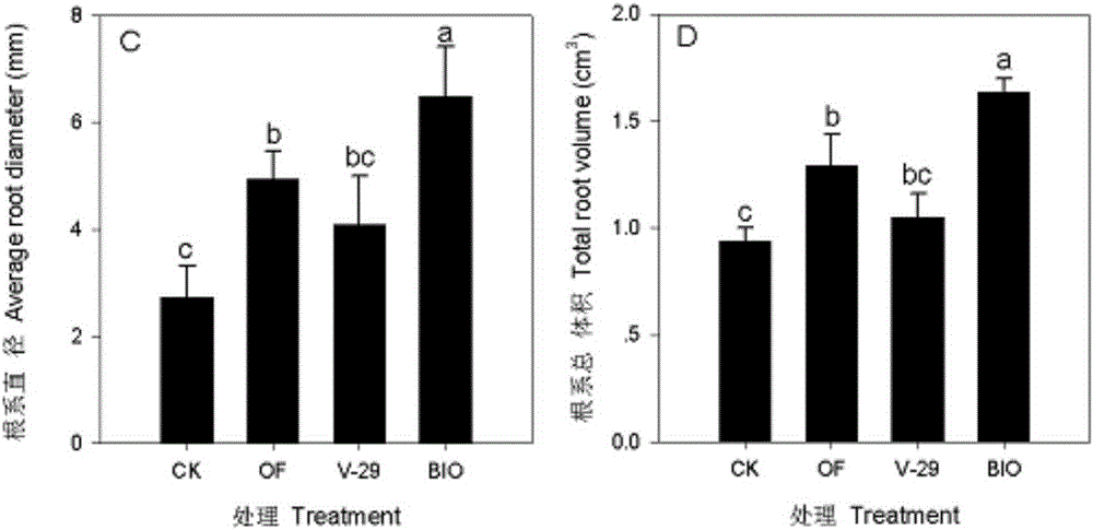 A kind of Burkholderia and its application