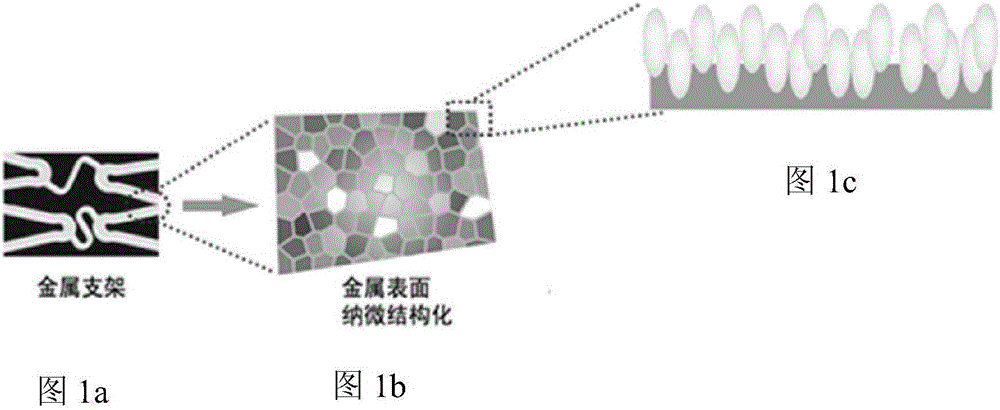 A metal support with micro-nano structure on the surface