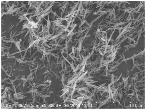 ZSM-12 molecular sieve supported high-dispersion Pt catalyst and preparation method thereof