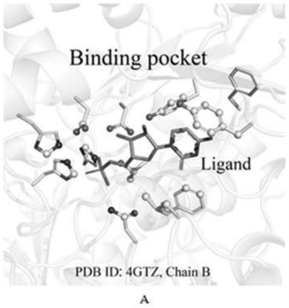 Identification of key flexible amino acids in the binding pocket of small protein molecules