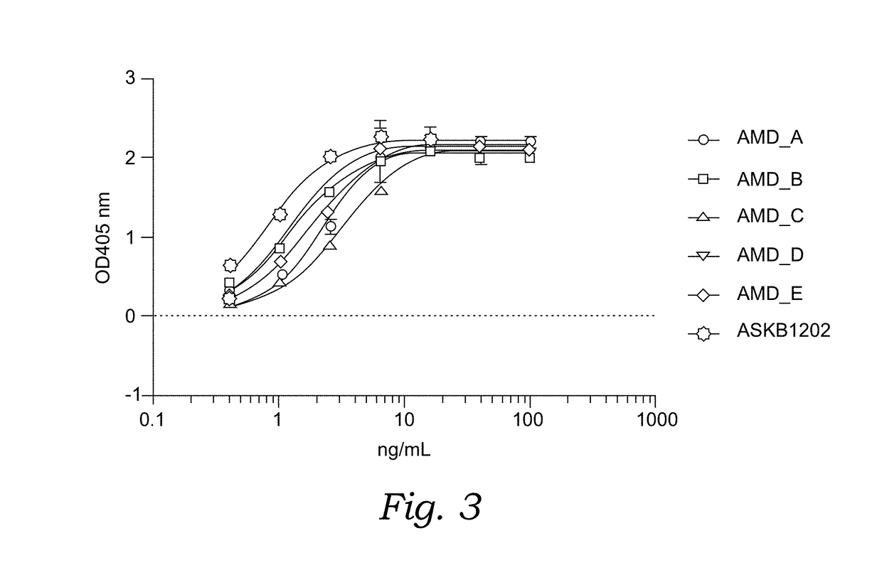 Novel Angiopoietin 2, VEGF Dual Antagonists