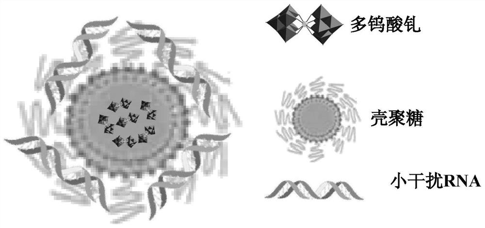 Use of a nanomaterial comprising gadolinium polytungstate as a sensitizer