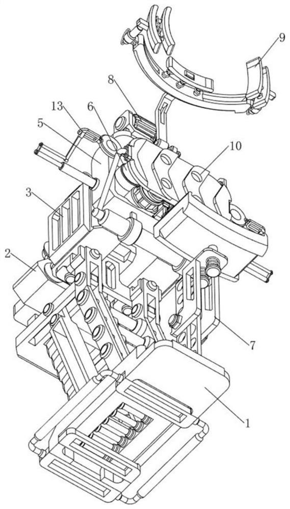 Optical coherence elastic imaging equipment capable of evaluating cornea removal amount