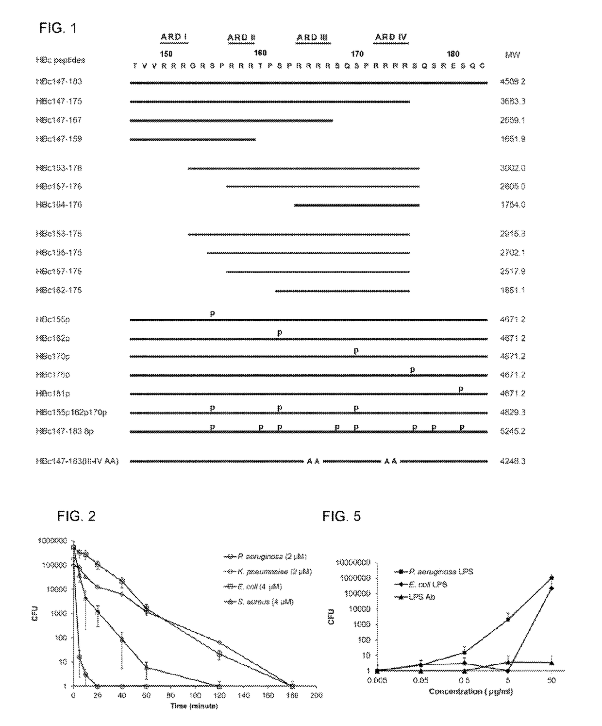 Antimicrobial peptides derived from hepatitis B virus core protein arginine-rich domain