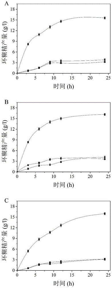 Cyclodextrin glucosyltransferase mutant with high beta-cyclizing activity