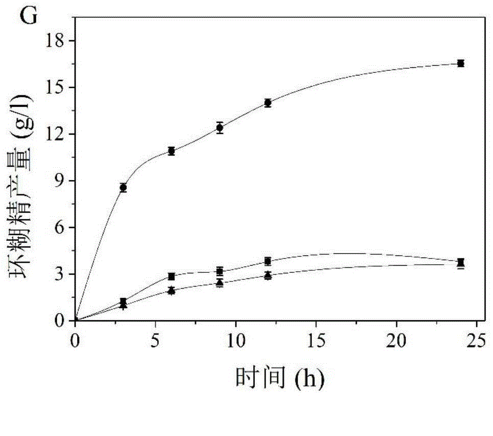 Cyclodextrin glucosyltransferase mutant with high beta-cyclizing activity