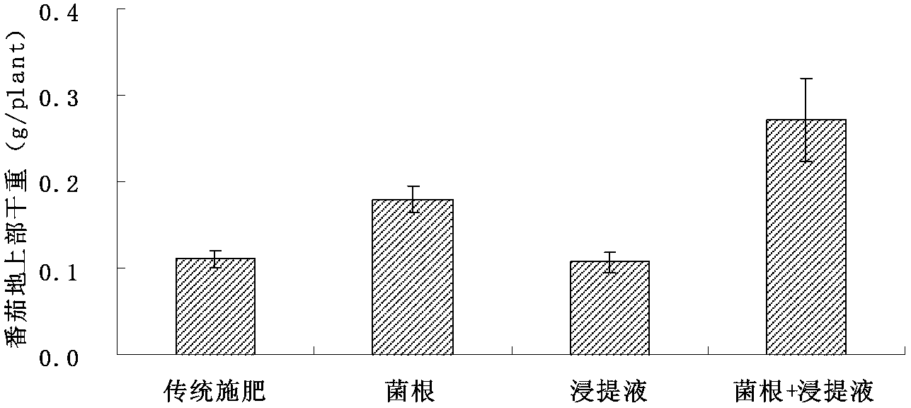 Crop straw leach liquor for improving fertilizer efficiency of mycorrhizal fungi fertilizer and preparation method of crop straw leach liquor