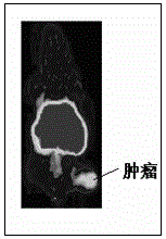 Preparation method and application of a class of aniline quinazoline compounds