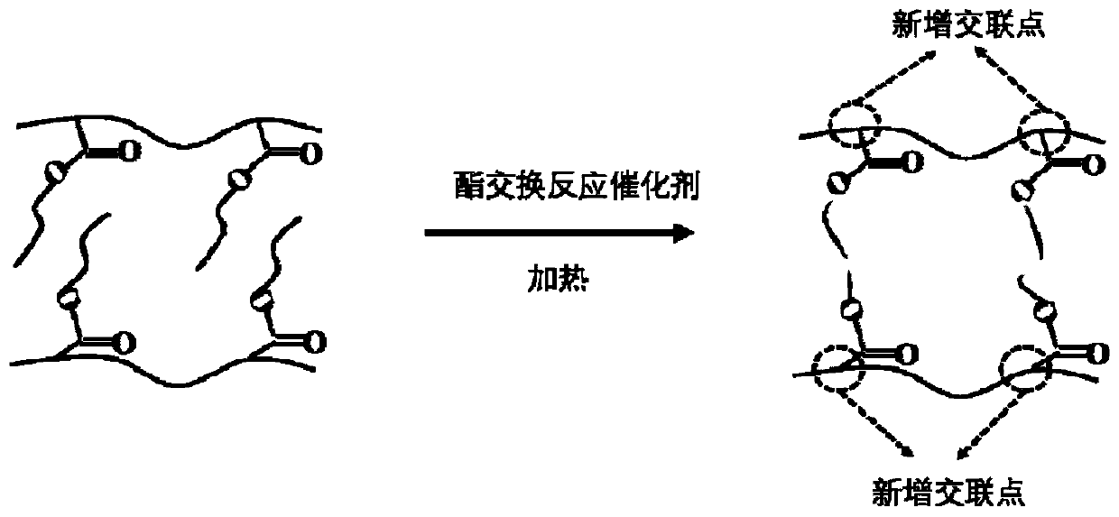 Photo-thermal patterned self-reinforced polymer material and preparation method thereof