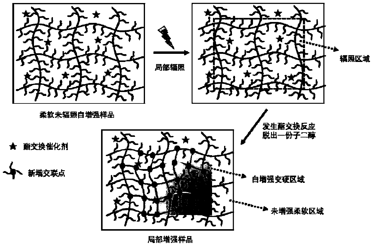 Photo-thermal patterned self-reinforced polymer material and preparation method thereof