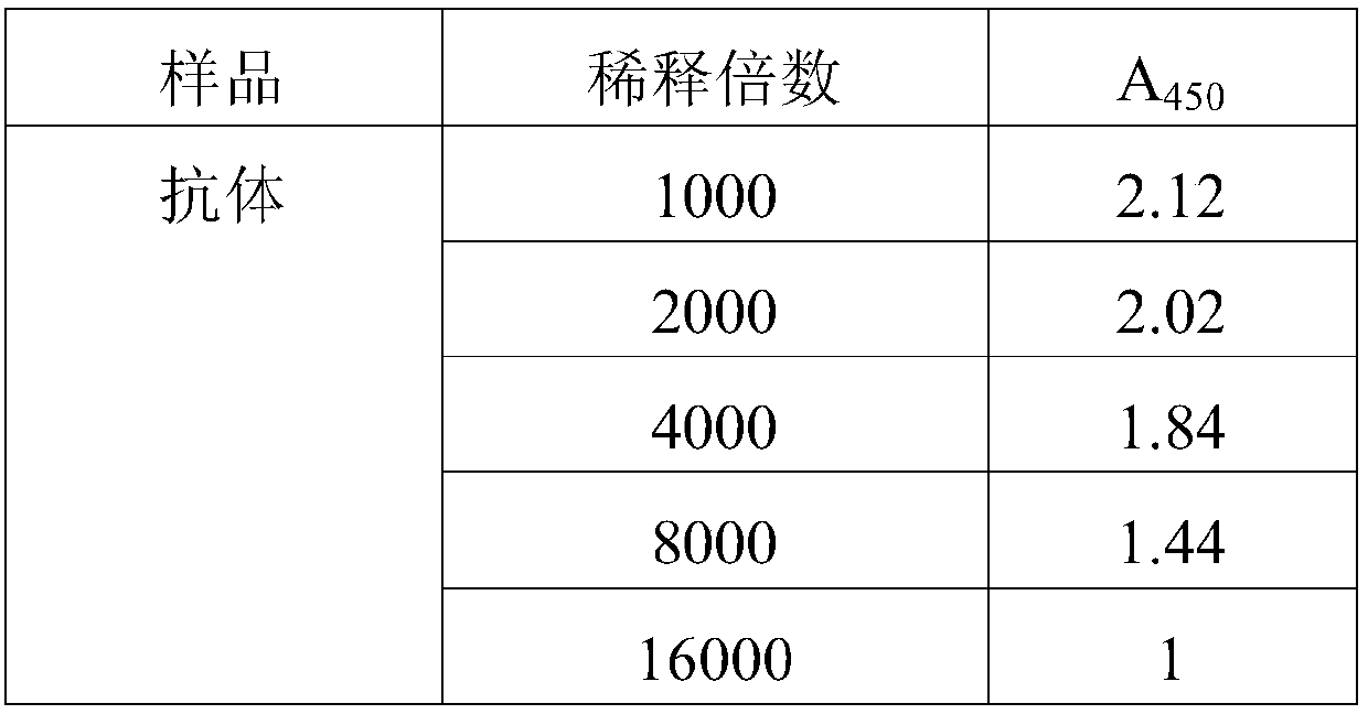 Antigenic epitope of rice grain glutelin GluA2 subunit, antibody thereof and application