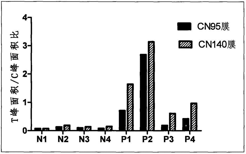 Mycoplasma pneumoniae detection kit