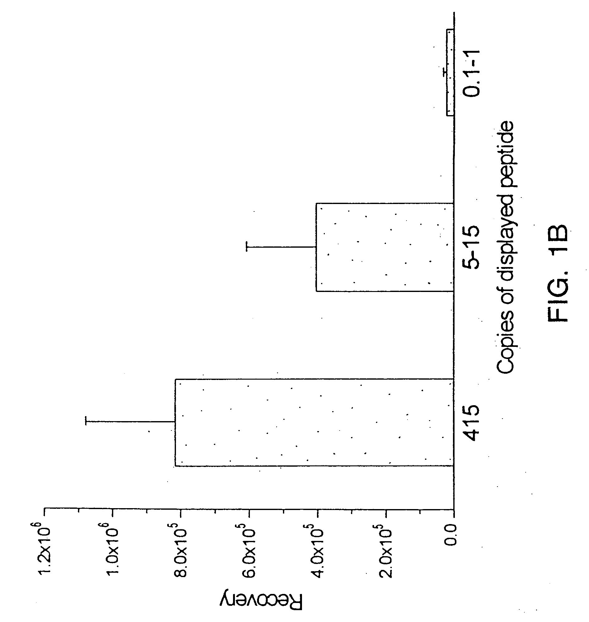 Peptides that home to tumor lymphatic vasculature and methods of using same