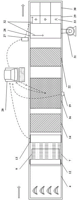 Machine-vision-based online grading and packaging production line for bananas