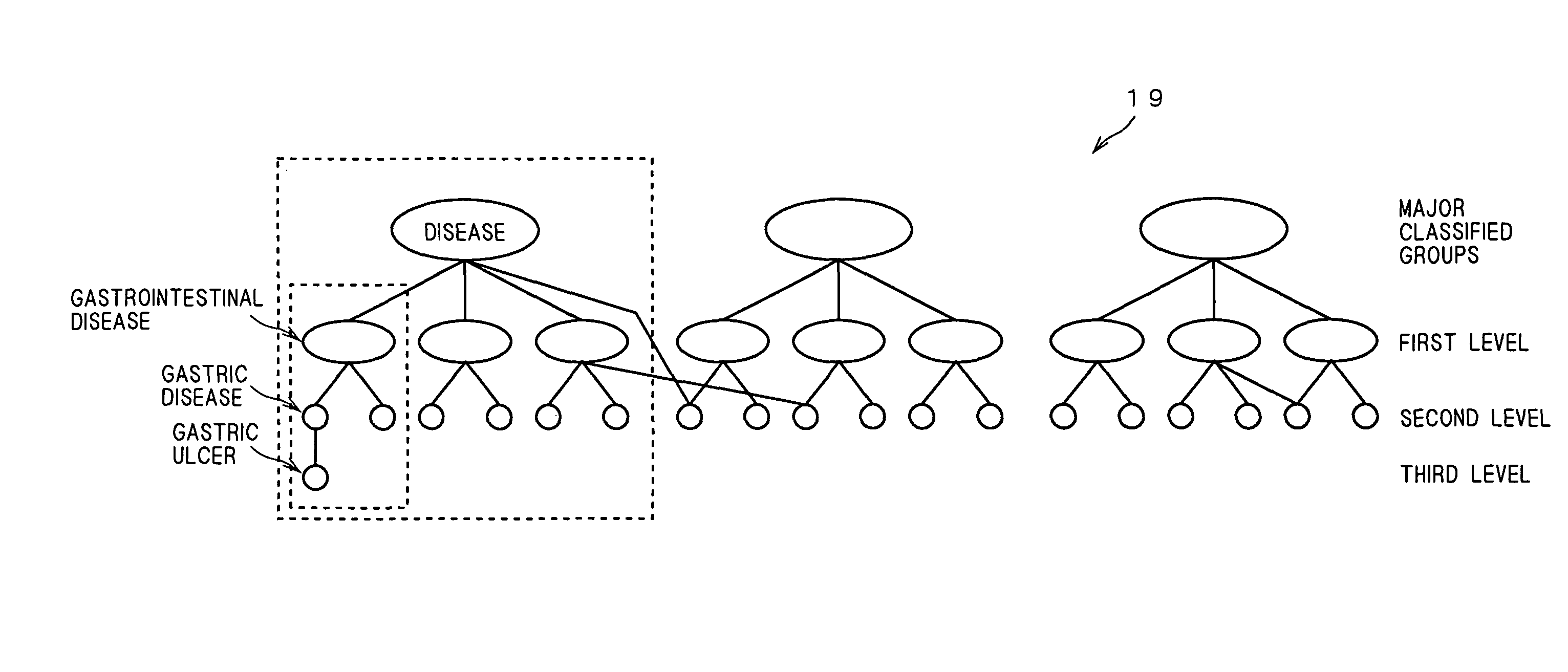 Database system, program, image retrieving method, and report retrieving method