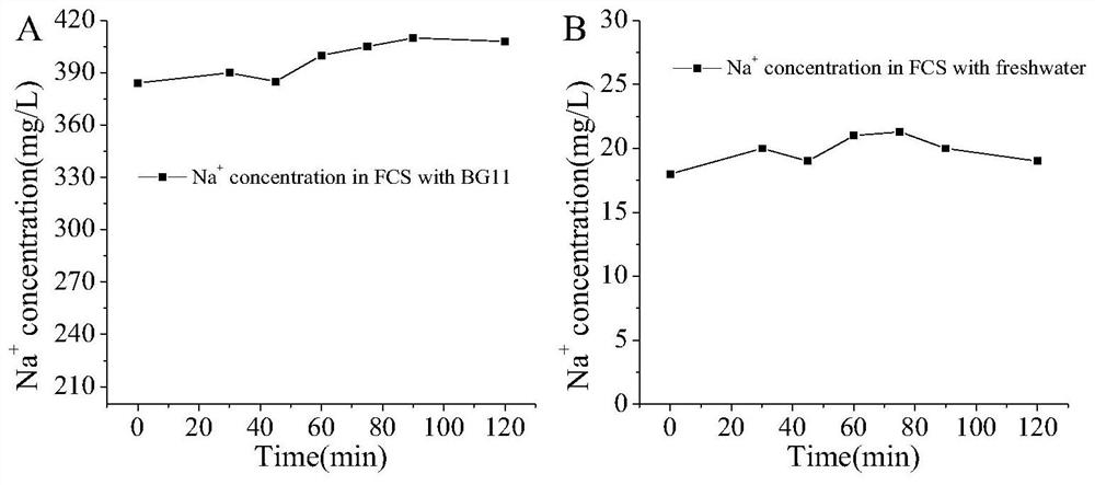 Efficient carbon or nitrogen supply device for microalgae autotrophy