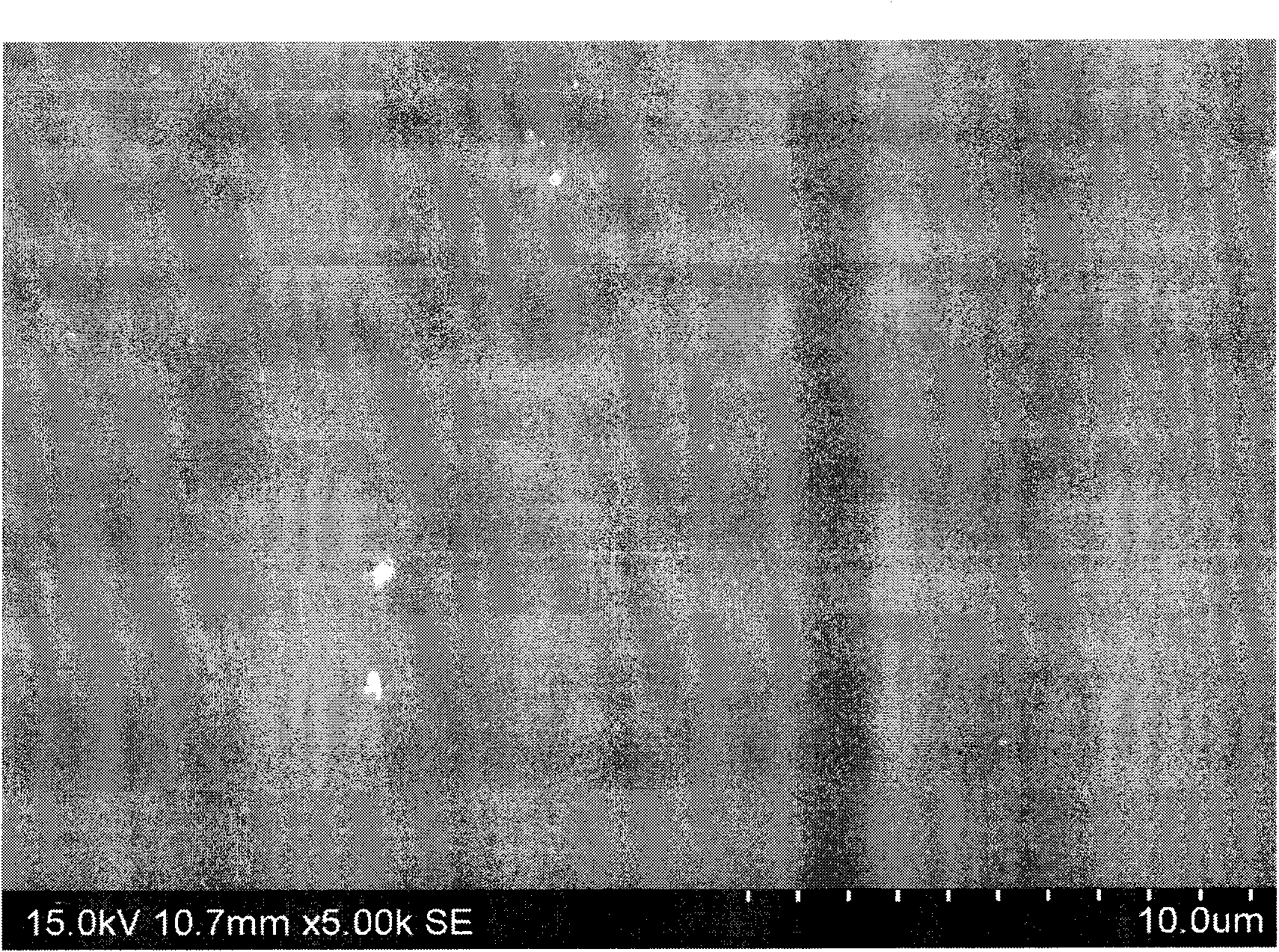 Functional composite membrane capable of recognizing alkali metal ions and preparation method thereof