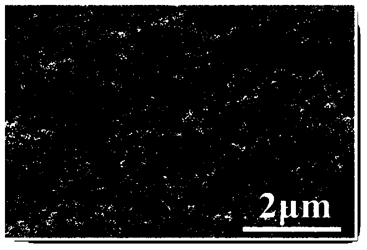 Method for preparing organic molecule hybridized TiO2 nanometer composite film on titanium substrate