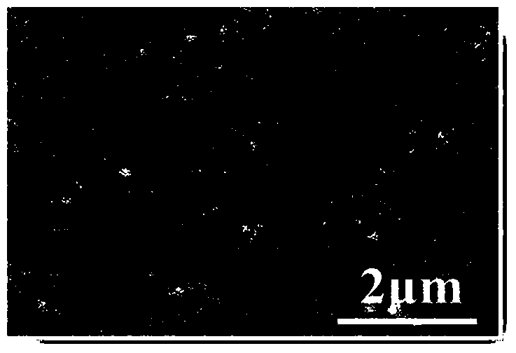 Method for preparing organic molecule hybridized TiO2 nanometer composite film on titanium substrate