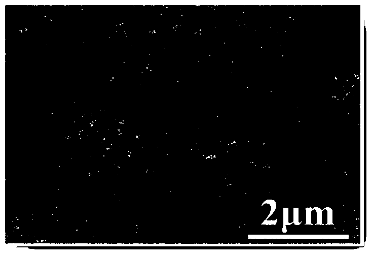 Method for preparing organic molecule hybridized TiO2 nanometer composite film on titanium substrate