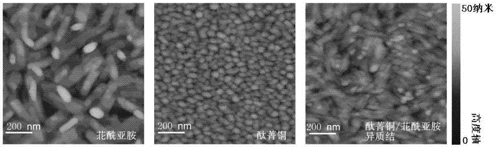 Organic heterojunction thin film photoresistors and photosensitive voltage dividers based on organic conjugated molecules