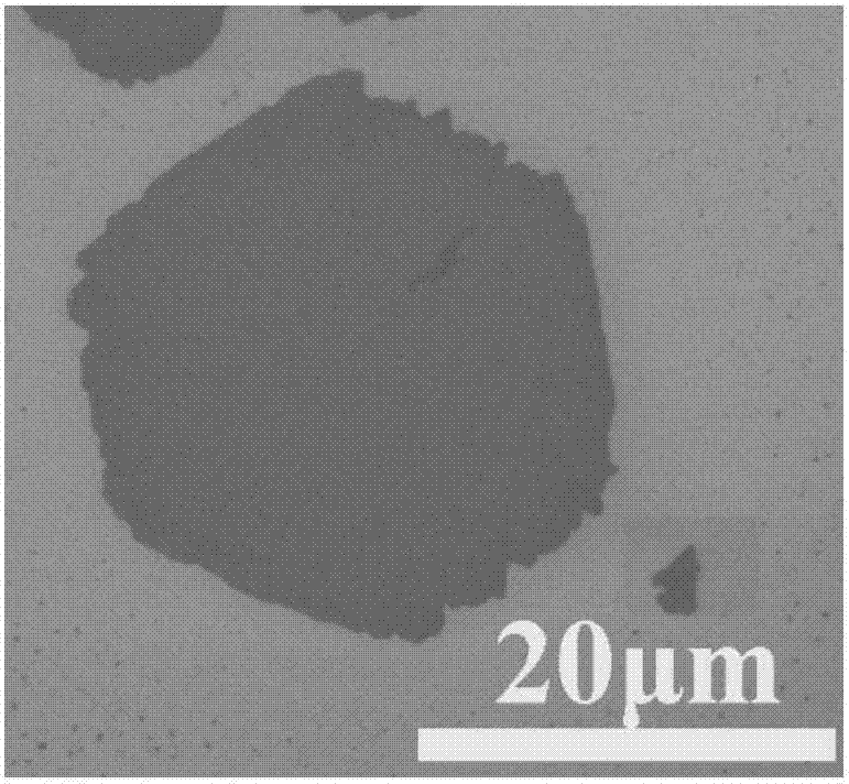 Preparation of rhenium sulfide and cadmium sulfide/rhenium sulfide composite material