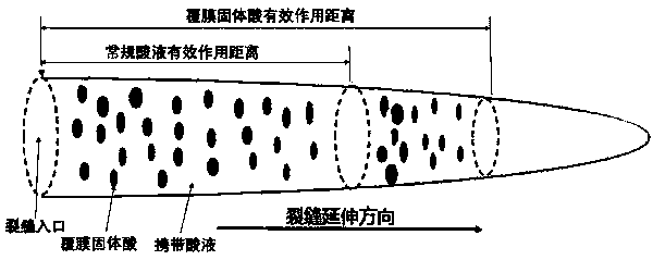 Film-coated solid acid suitable for deep acid fracturing of carbonate reservoir