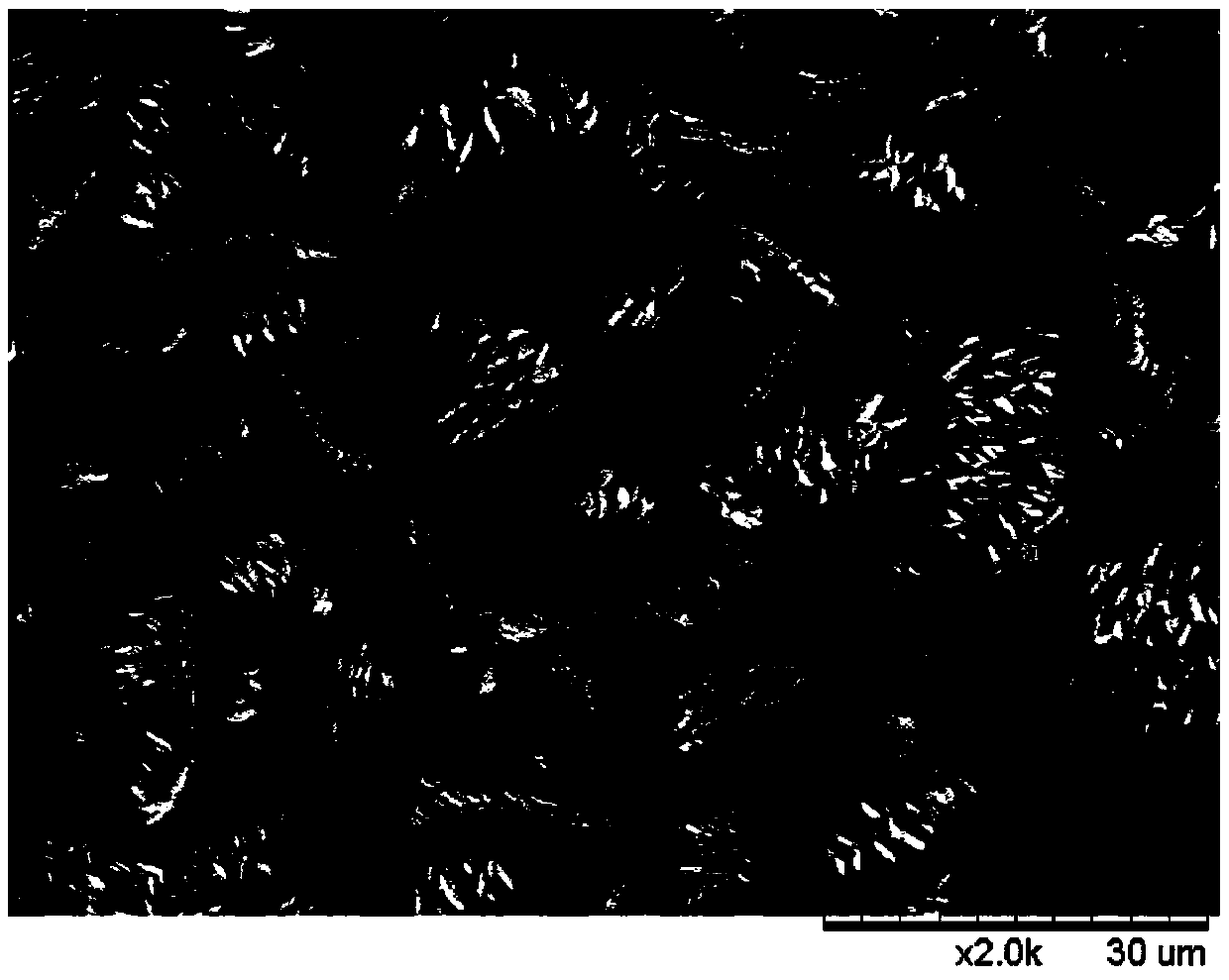 Nanometer flaky 1,1-diamido-2,2-binitro ethylene explosive and preparation method thereof