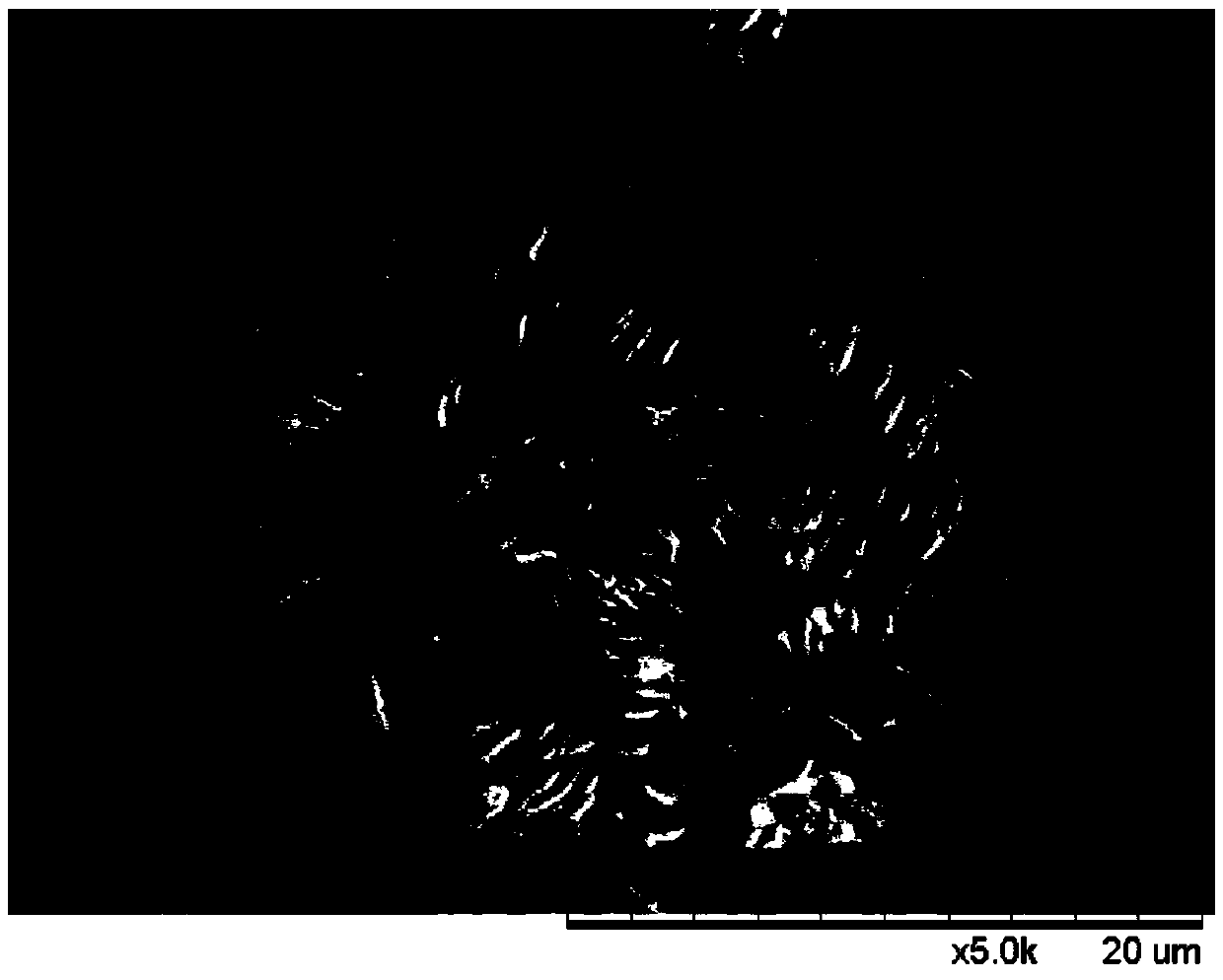 Nanometer flaky 1,1-diamido-2,2-binitro ethylene explosive and preparation method thereof