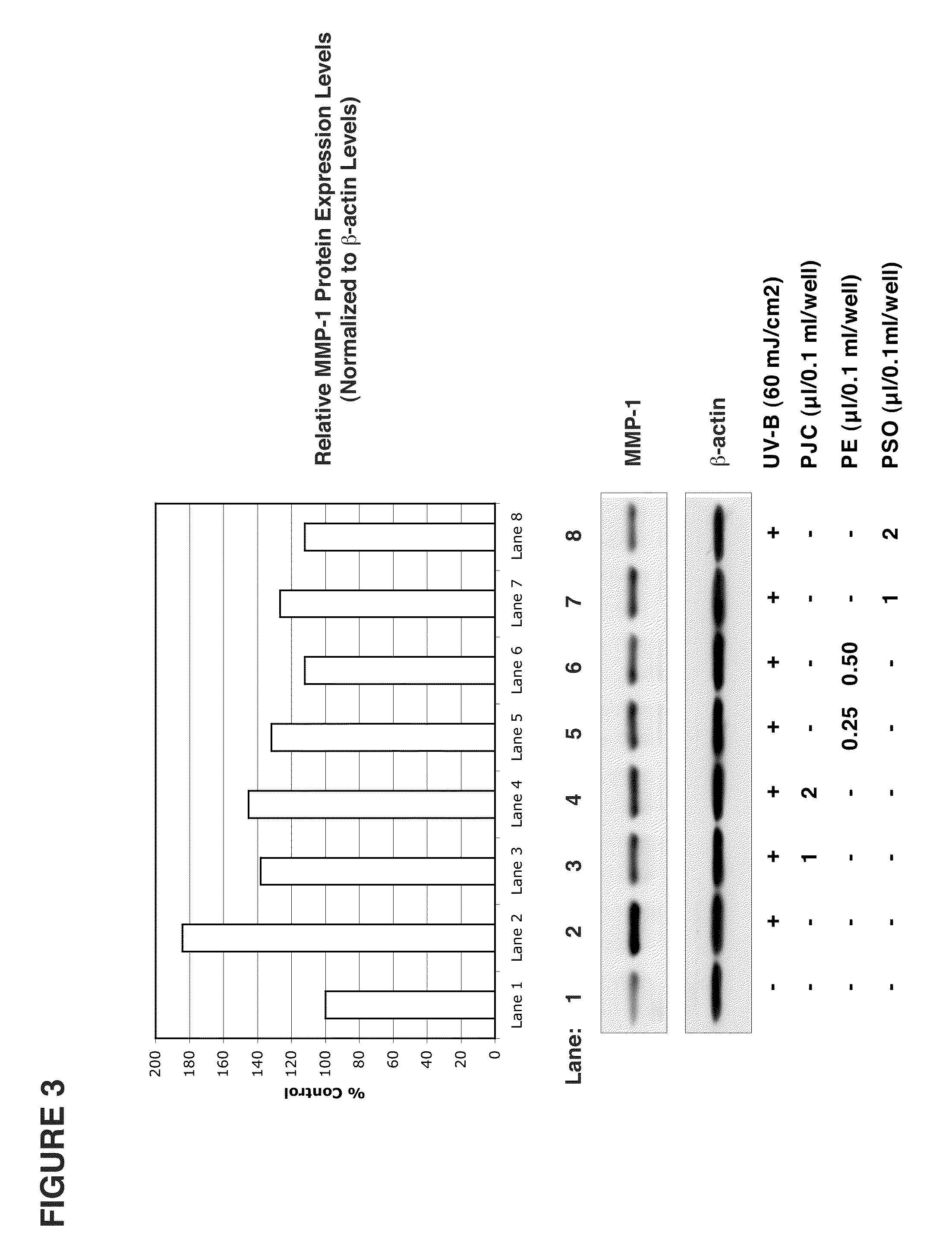 Pomegranate based skin protectant and topical application