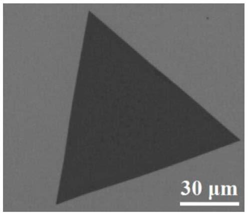 Construction method and control strategy of a high-performance hybrid photodetector