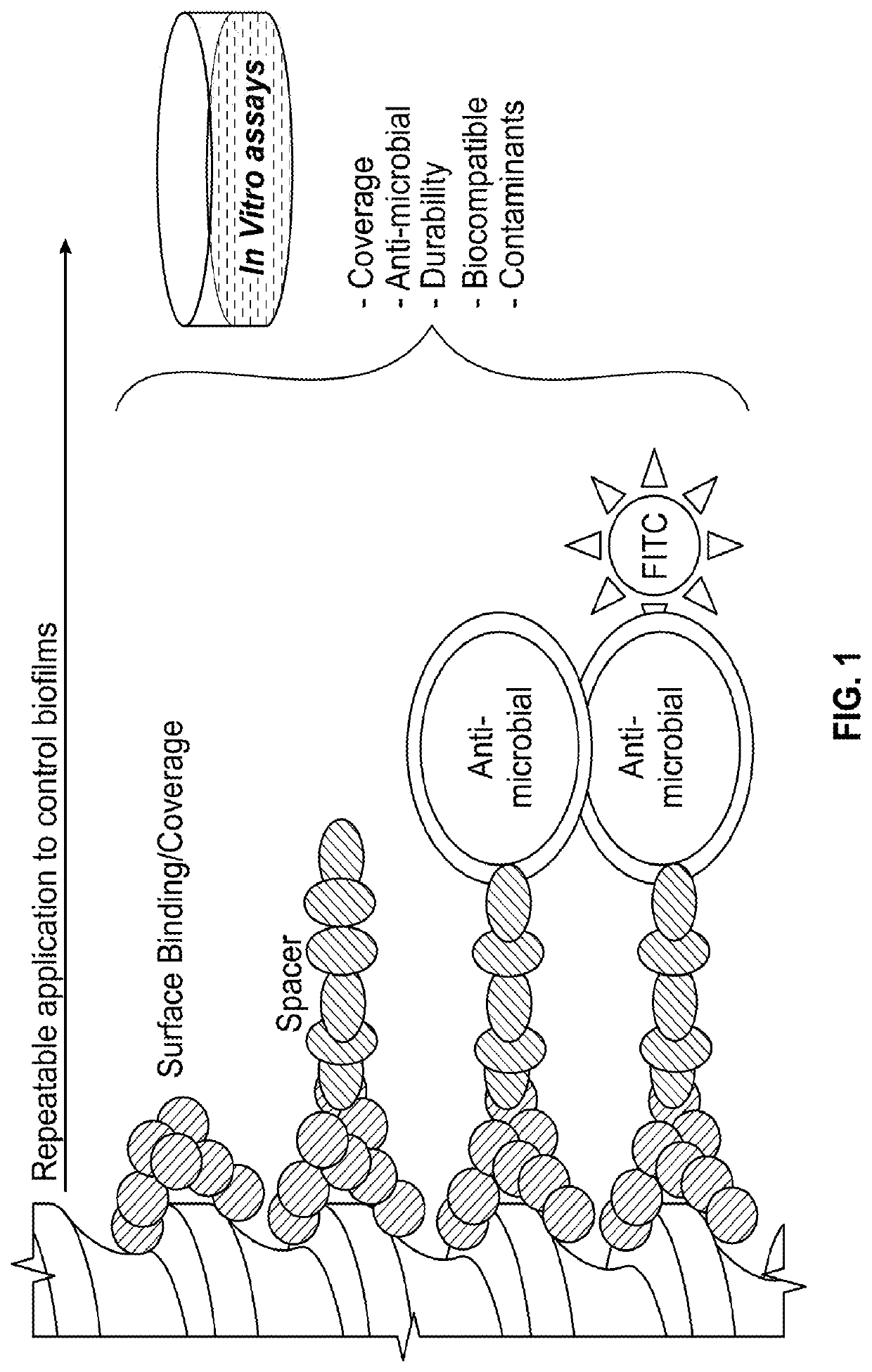 Mitigation of peri-implantitis by design and stability of bifunctional peptides with antimicrobial properties